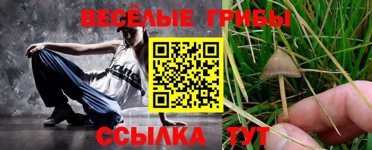 Кольчугино  Галлюциногенные грибы ЛСД  Вход с VPN 